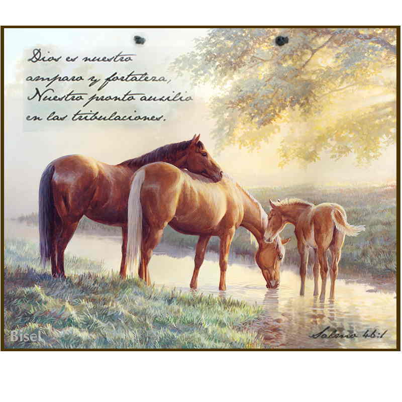 Plaqueta Para Pared, Texto Salmo 46:10