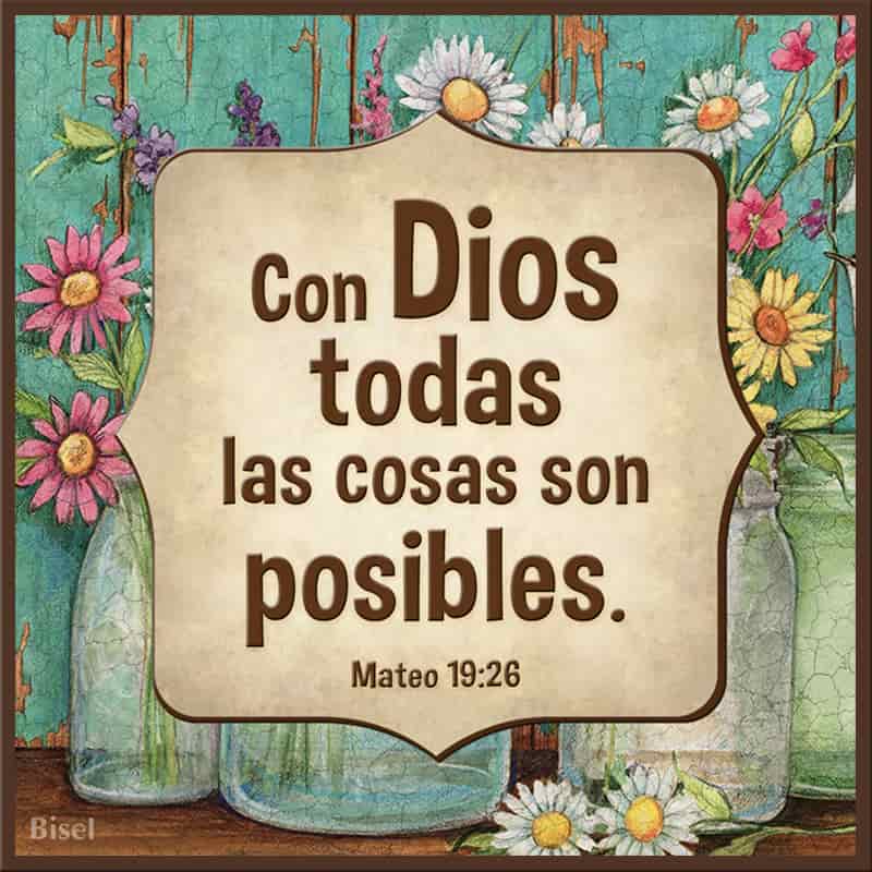 Plaqueta Para Escritorio Texto: Mateo 19:26