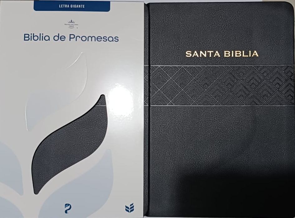 Biblia RVR 1960 De Promesas Letra Grande (Negra)