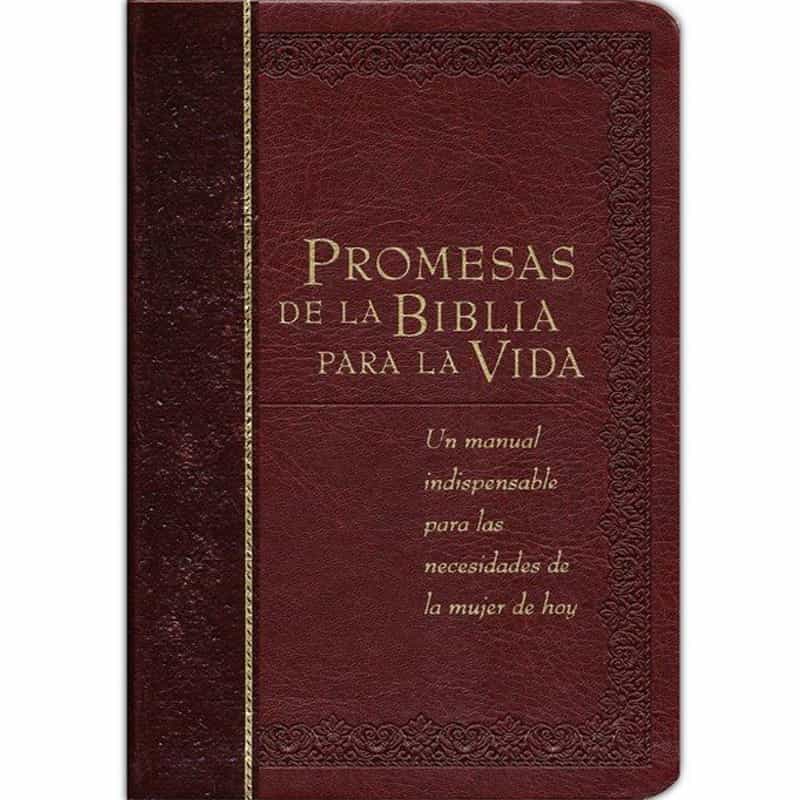 Promesas De La Biblia Para La Vida