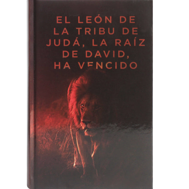 RVR 1960 Santa Biblia Letra Grande