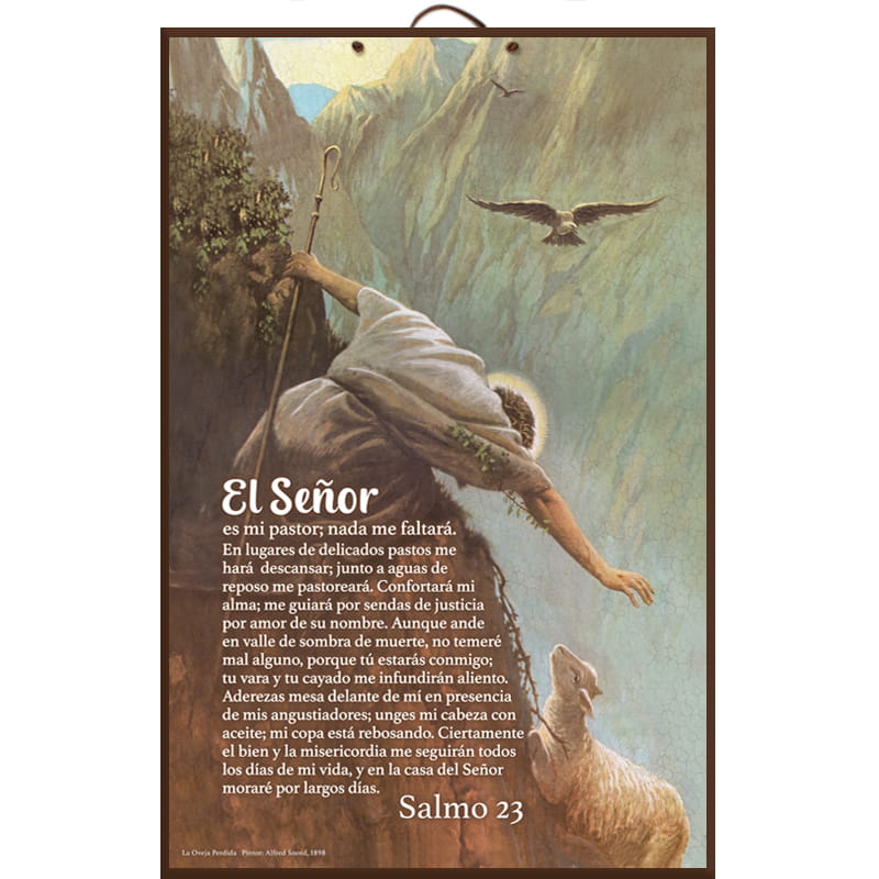 Plaqueta Colgante  Texto: Salmo 23 El Señor Es Mi Pastor Oveja En Barranco.