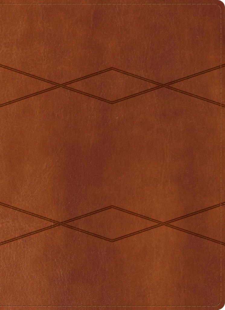 Biblia RVR 1960  De Estudio Holman, Imitación Piel