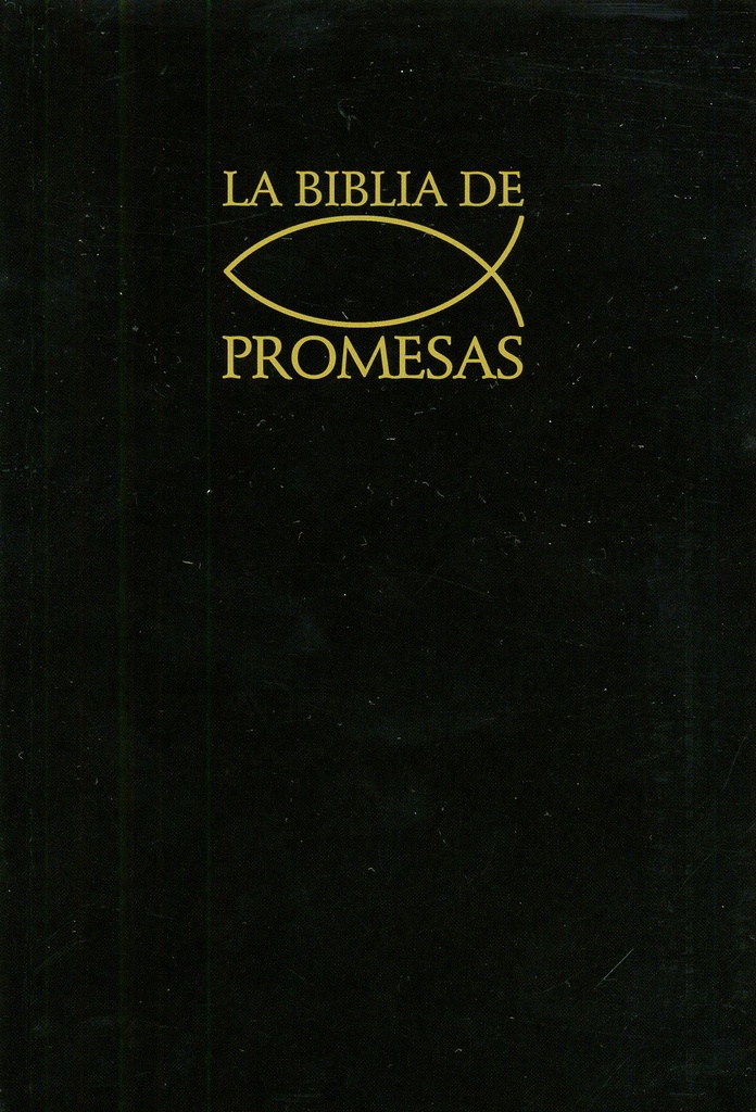 Biblia De Promesas Edición Económica Rustica Negro