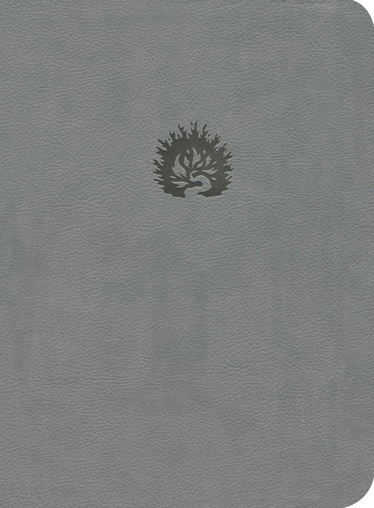 Biblia De Estudio De La Reforma LBLA Piel Gris Con Estuche