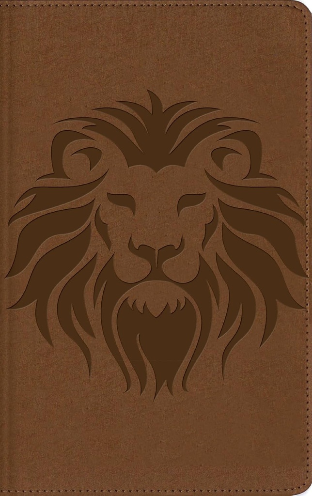 Biblia NBLA, Visual De Estudio Para Niños, Tapa Dura: Explora La Biblia: Personajes, Lugares E Historia Café