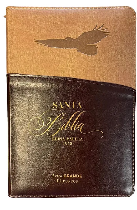 Biblia RV1960 Exprésate  Diseño de Águila