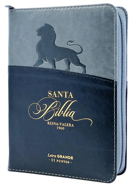 Biblia Reina Valera 1960 Tamaño Portátil Letra Grande