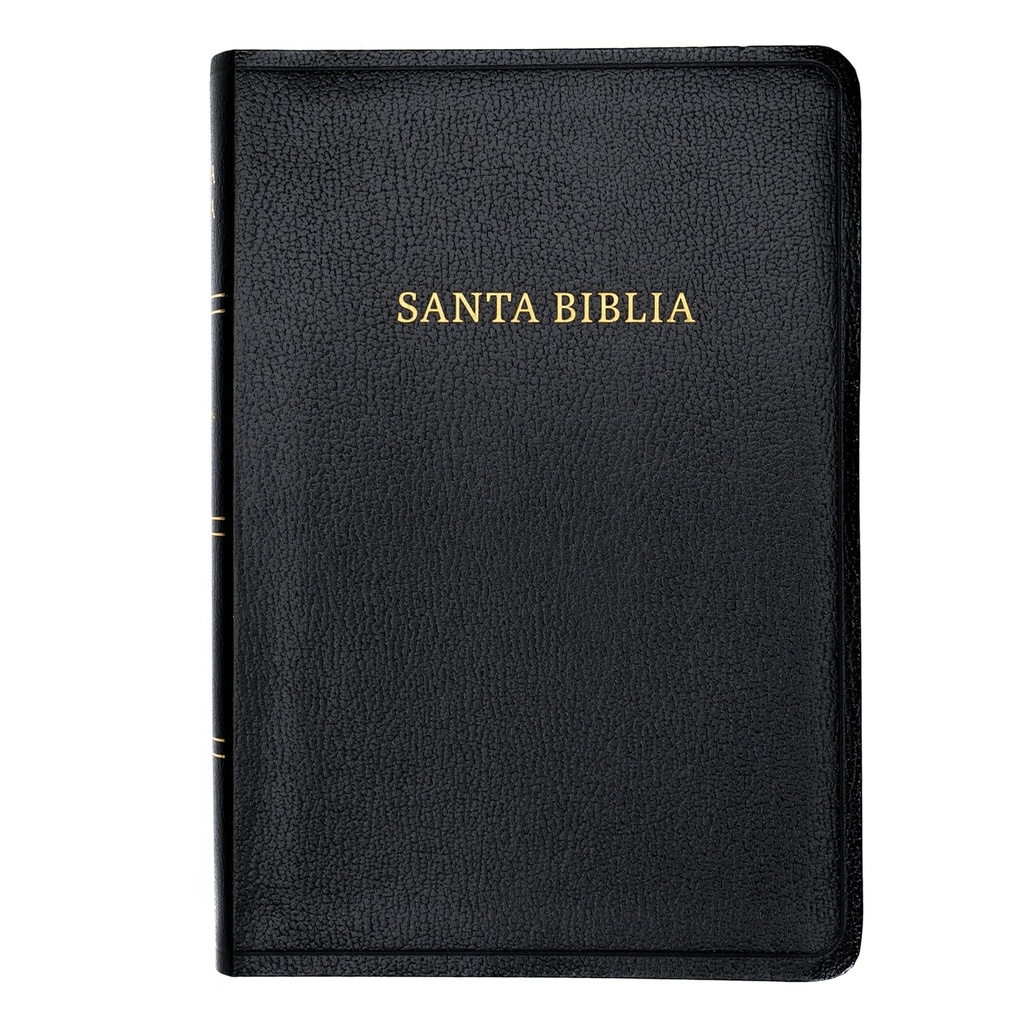 Biblia RVR 1960 Letra Gigante Color Negro Imitación Piel