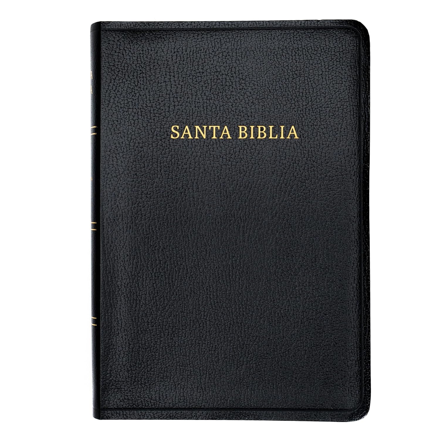 RVR 1960 Biblia Letra Gigante, Negro, Imitación Piel (2023 Ed.)