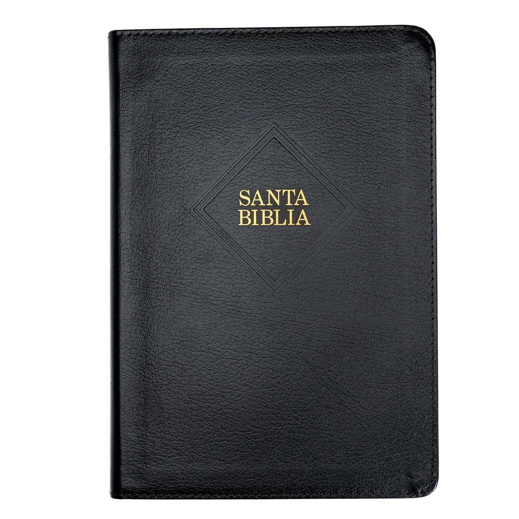 Biblia RVR 1960 Letra Gigante, Negro, Piel Fabricada (2023 Ed.)