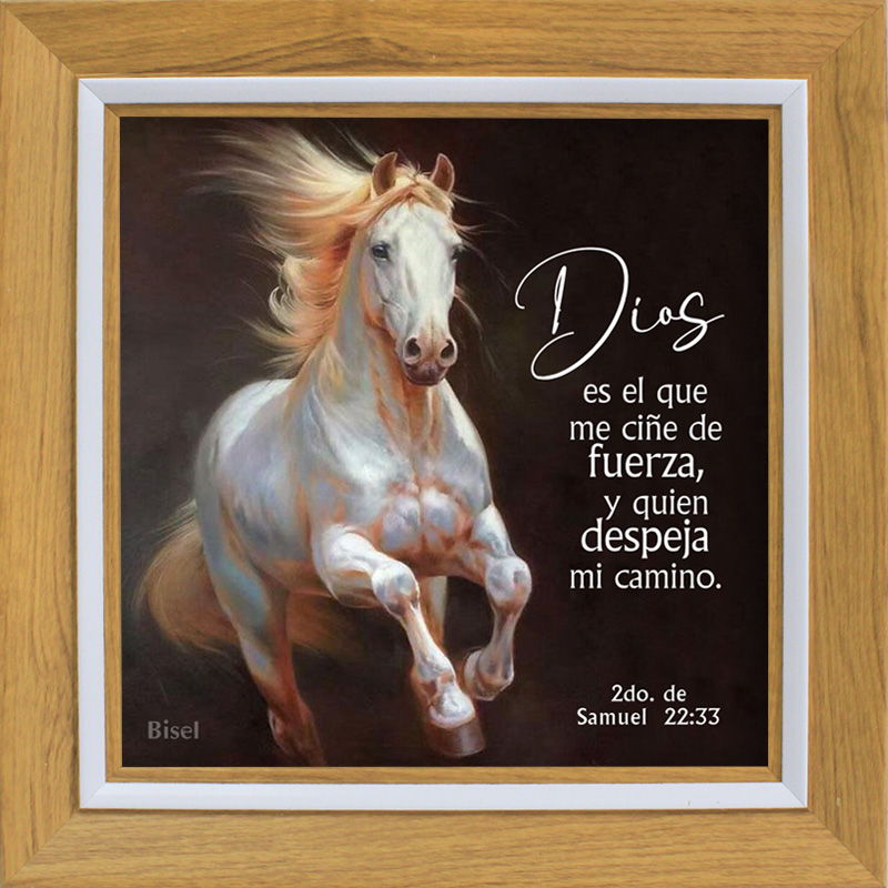 Cuadro Para Escritorio Caballo Blanco Texto 2a. Samuel 22:33