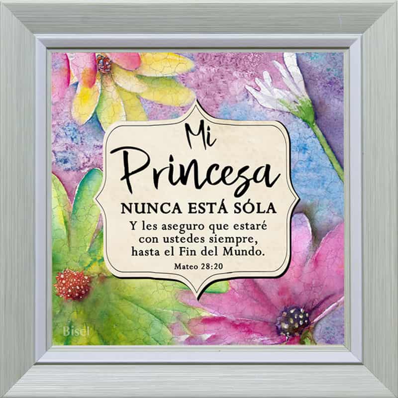 Cuadro Para Escritorio Marco Color Verde Claro  Diseño "Mi Princesa Nunca Está Sola"