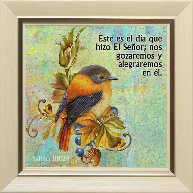 Cuadro Para Escritorio Texto: Salmo 118:24