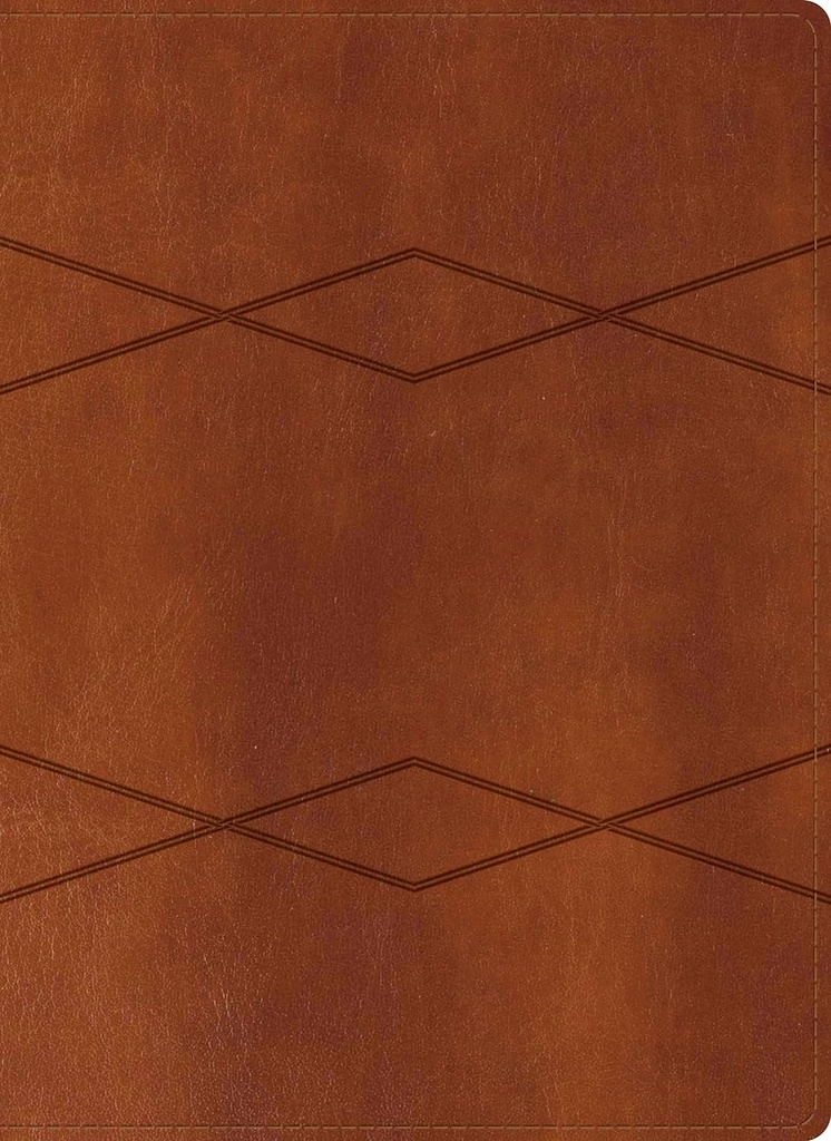 Biblia RVR 1960 De Estudio Holman Café Piel Con Índice