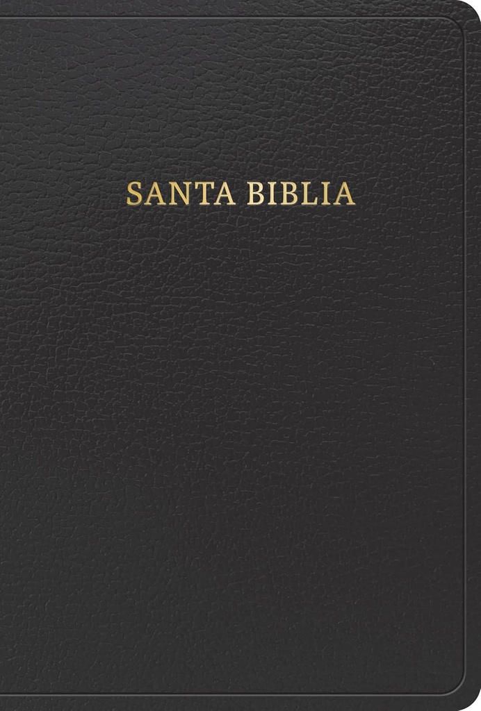 Biblia RVR 1960 Letra Grande Tamaño Manual, Imitación Piel Color Negro Con Indice
