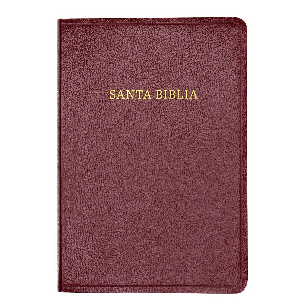 Biblia RVR 1960 Letra Gigante Borgona Con Índice (Edición 2023)