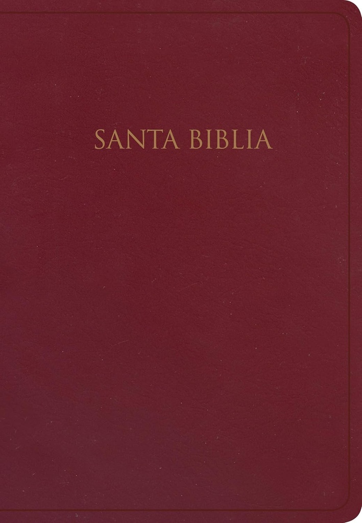 Biblia RVR 1960 Para Regalos Piel Borgonia