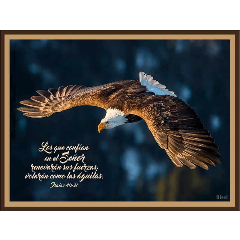 Plaqueta Para Escritorio Texto: Isaías 40:31