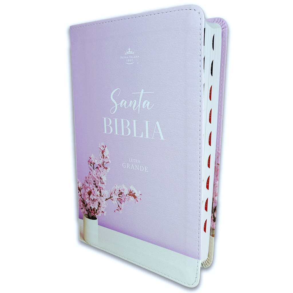 Biblia RVR 1960 Letra Grande Con Índice Imitación Piel Lila