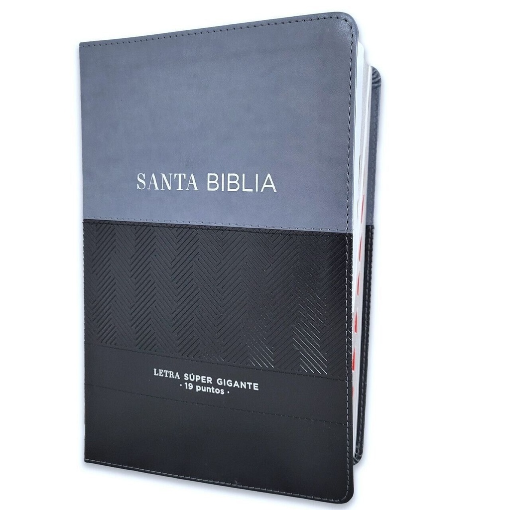 Biblia RVR 1960 Letra Gigante Negro/Gris