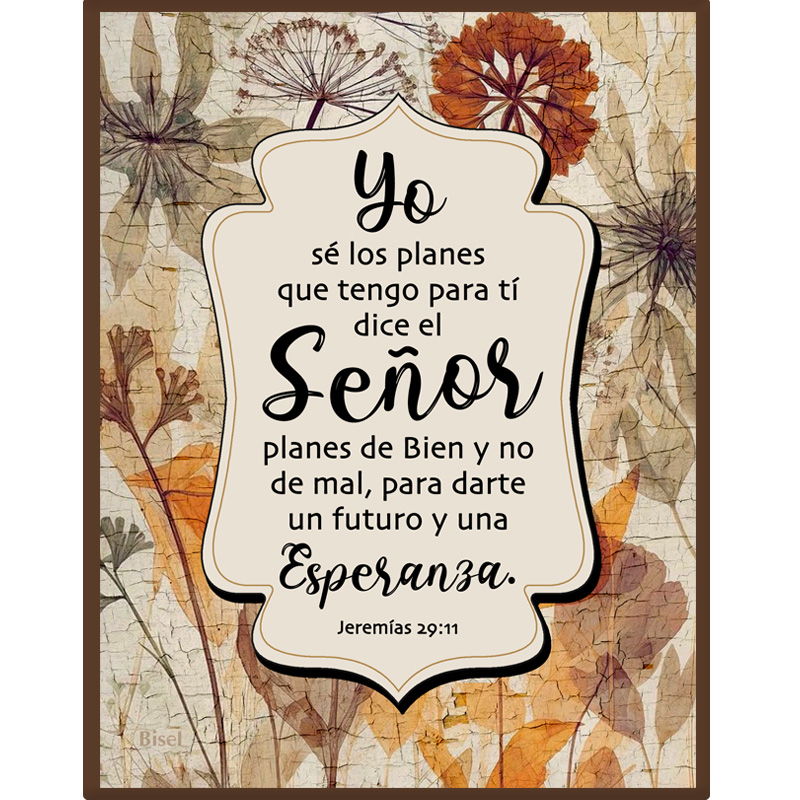 Plaqueta Colección Vintage Jeremías 29:11 ( Nuevo )