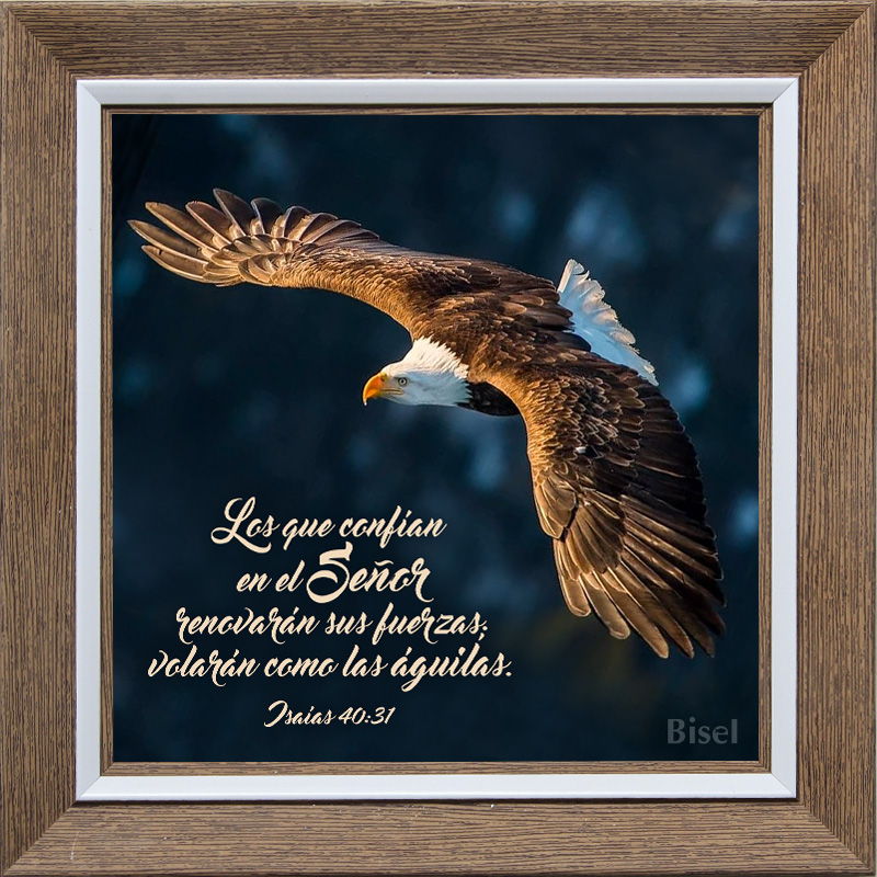 Cuadro Para Escritorio Texto: Isaías 40:31