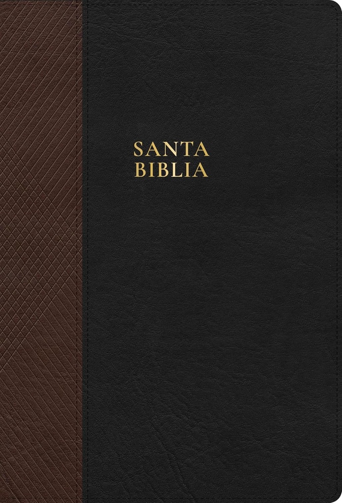Biblia RVR 1960 Letra Supergigante Imitación Piel Con Indice Café/Negro