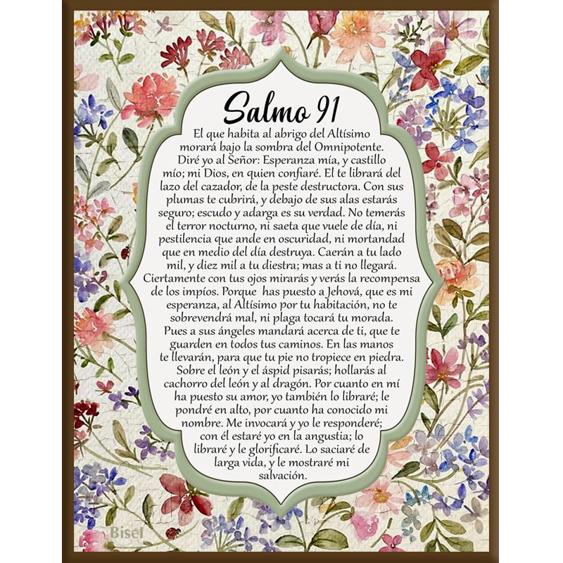 Plaqueta Para Escritorio Salmo 91