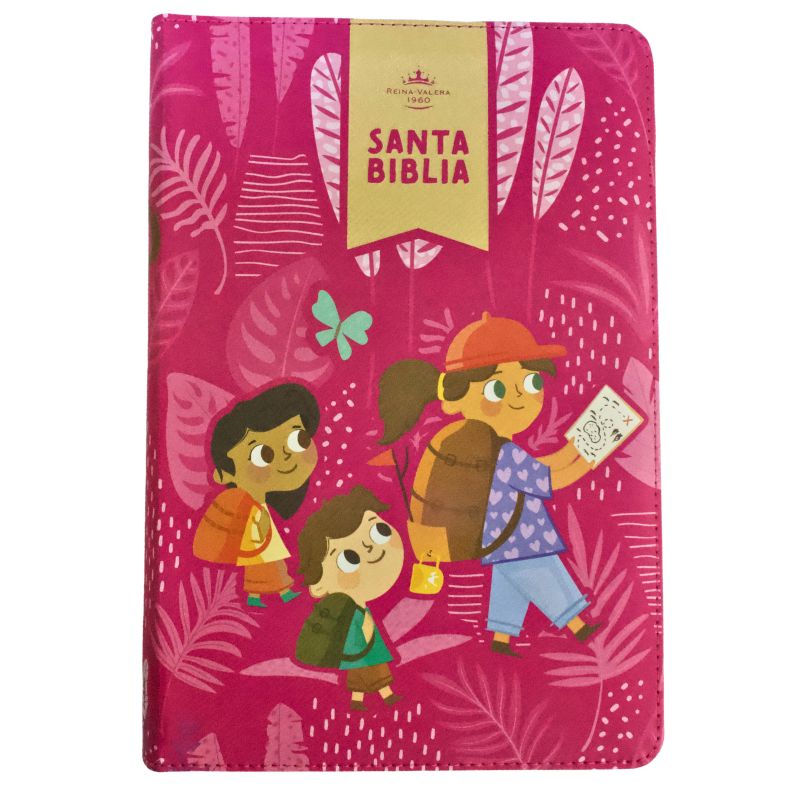 Biblia RVR 1960 Para Niñas Interactiva Edición Limitada Tamaño Manual Letra Grande