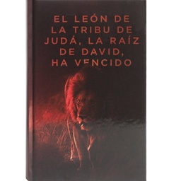 [LGN-4061] RVR 1960 Santa Biblia Letra Grande