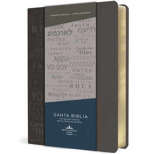 Biblia RVR 1960 De Color Gris Los  Nombres De Jesús