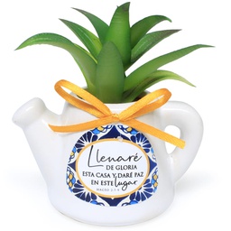 [CERTI-BS21008B] Maceta De Cerámica En Forma De Jarrilla Con Planta Suculenta  Texto: Hageo 2: 7-9