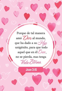 Diario y Cuaderno de Notas Juan 3:16