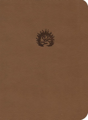 Biblia De Estudio De La Reforma LBLA Piel Café Con Estuche