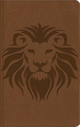 [LV-7286] Biblia NBLA, Visual De Estudio Para Niños, Tapa Dura: Explora La Biblia: Personajes, Lugares E Historia Café