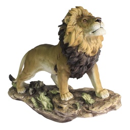 [GEO-1002A] León En Piedra