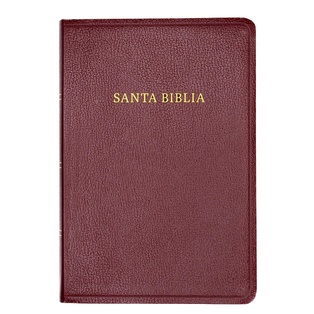 Biblia RVR 1960 Letra Gigante Borgona Con Índice (Edición 2023)