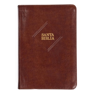 Biblia RVR 1960 Letra Gigante Café Con Índice (Edición 2023)