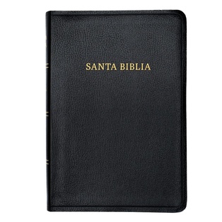 Biblia RVR 1960 Tamaño Manual. Letra Grande, Piel Negro