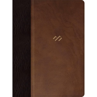 Biblia RVR 1960 Temática De Estudio Piel Marrón Con Índice