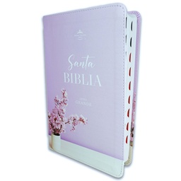 [ABBA-1373] Biblia RVR 1960 Letra Grande Con Índice Imitación Piel Lila