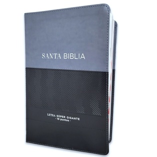 Biblia RVR 1960 Letra Gigante Negro/Gris