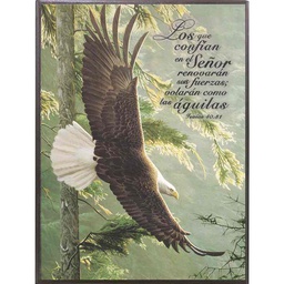 [DECOR-1157A] Plaqueta Para Escritorio Texto: Isaías 40.31 Aguila Verde.