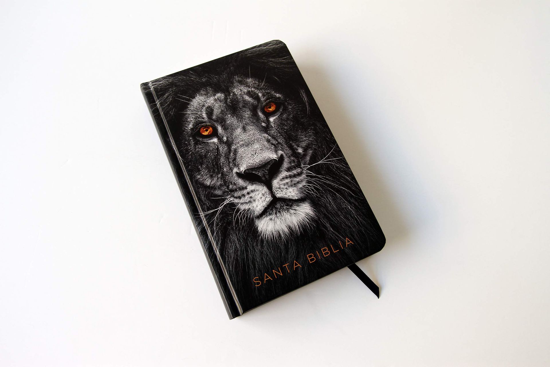 Biblia RVR 1960 Leon De Judah