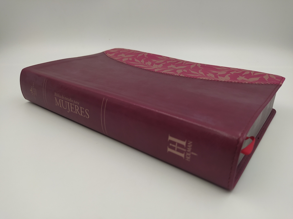 Biblia RVR 1960 Biblia De Estudio