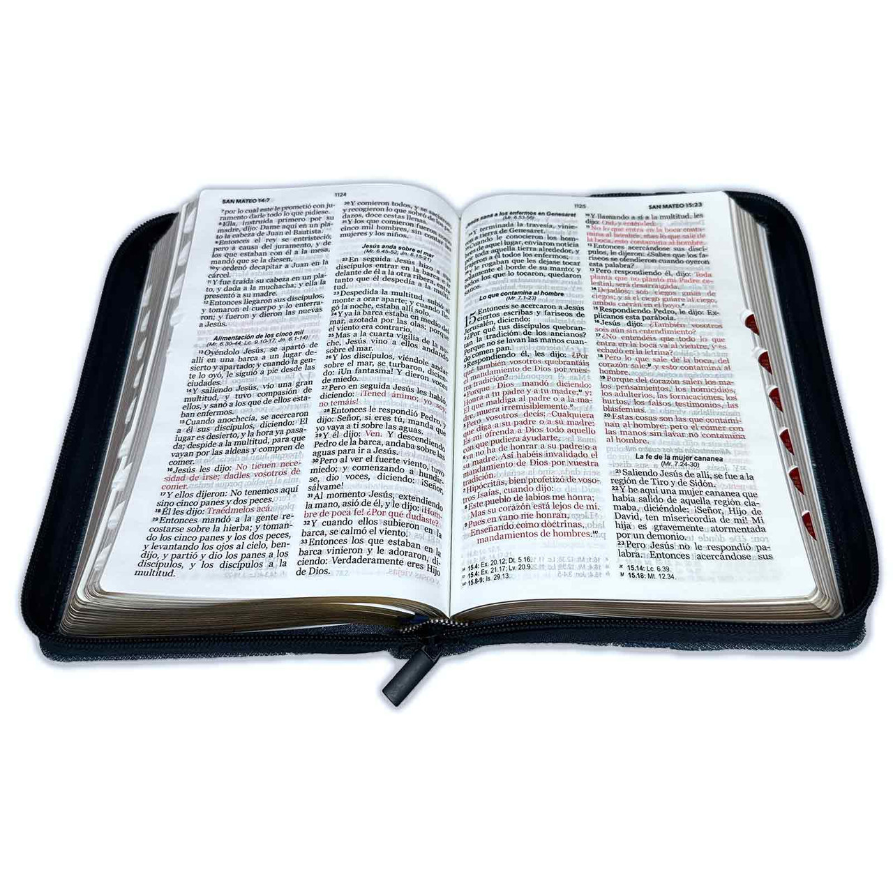 Biblia RVR1960 Letra Grande Diseño Jeans Con Cinturón Azul Con Zíper e Índice