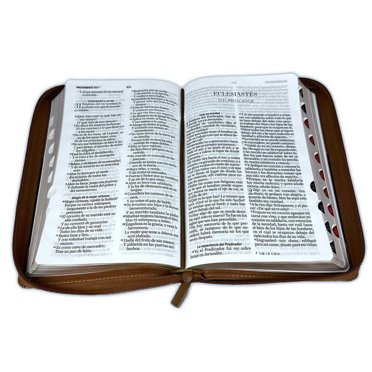 Biblia RVR1960 Diseño Excelencia Dúo Tono Café/Café Con Zíper e Índice