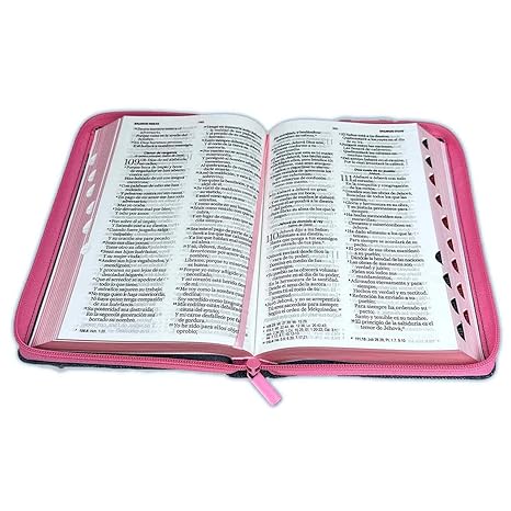 Biblia RVR1960 Jeans Cinturón Rosado Con Zíper e Índice