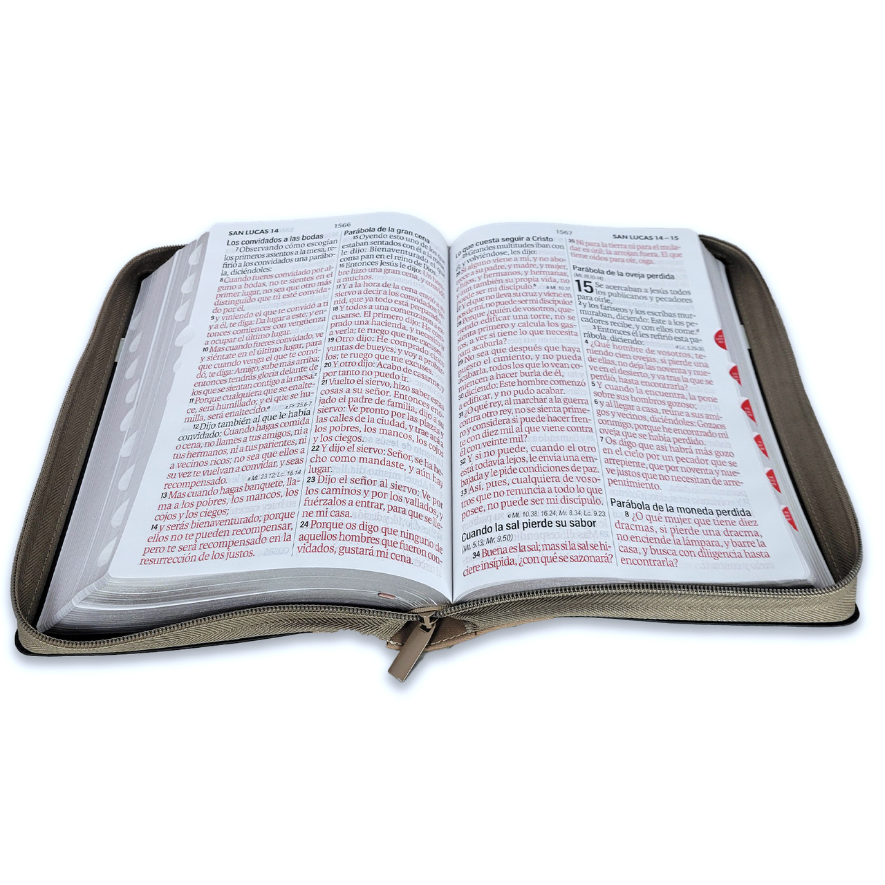 Biblia RVR 1960 Tamaño Grande Letra Súper Gigante Con Cierre e Índice Café/Beige